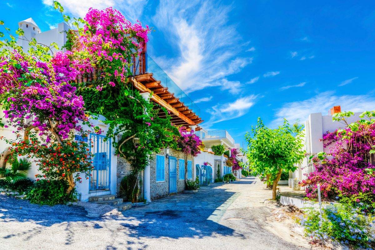 Bodrum Altstadtgassen weiße Häuser